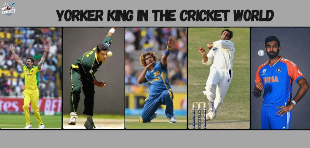 Yorker King